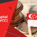 A Guide to the Variable Capital Company (VCC) in Singapore