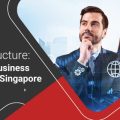 Setting Structure: Comparing Business Structures in Singapore