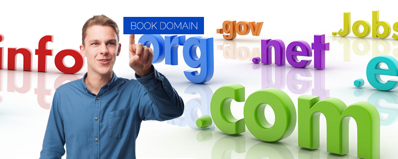 Purchase your domain name