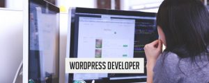 wordpress developer
