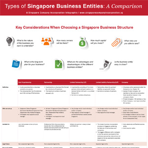 Types Of Business Structures In Singapore A Comparison Infographics
