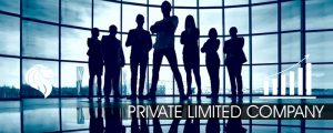 private limited company