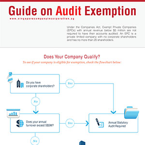 A Simple Guide on Audit Exemption in Singapore